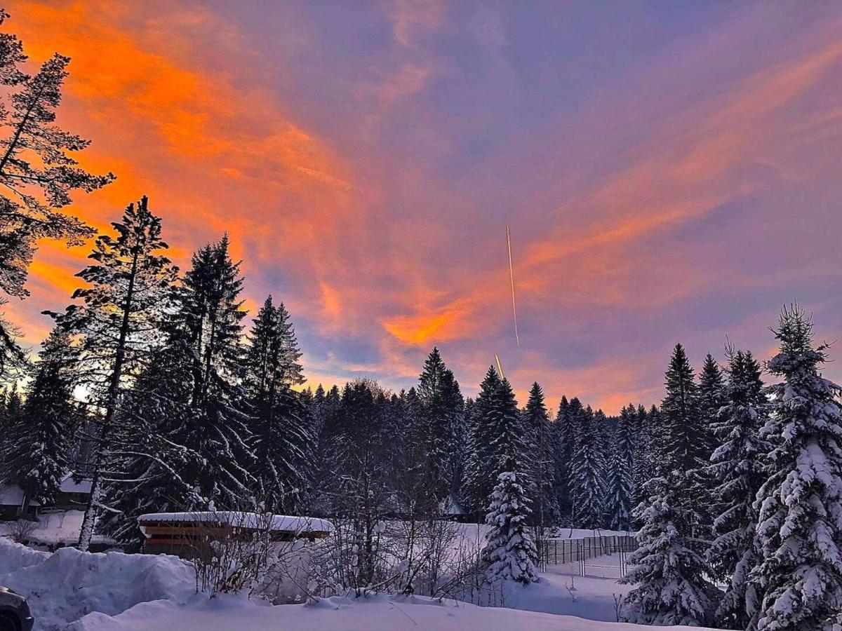 Dren Chalet Lux - Banjska Stena Perucac Eksteriør billede